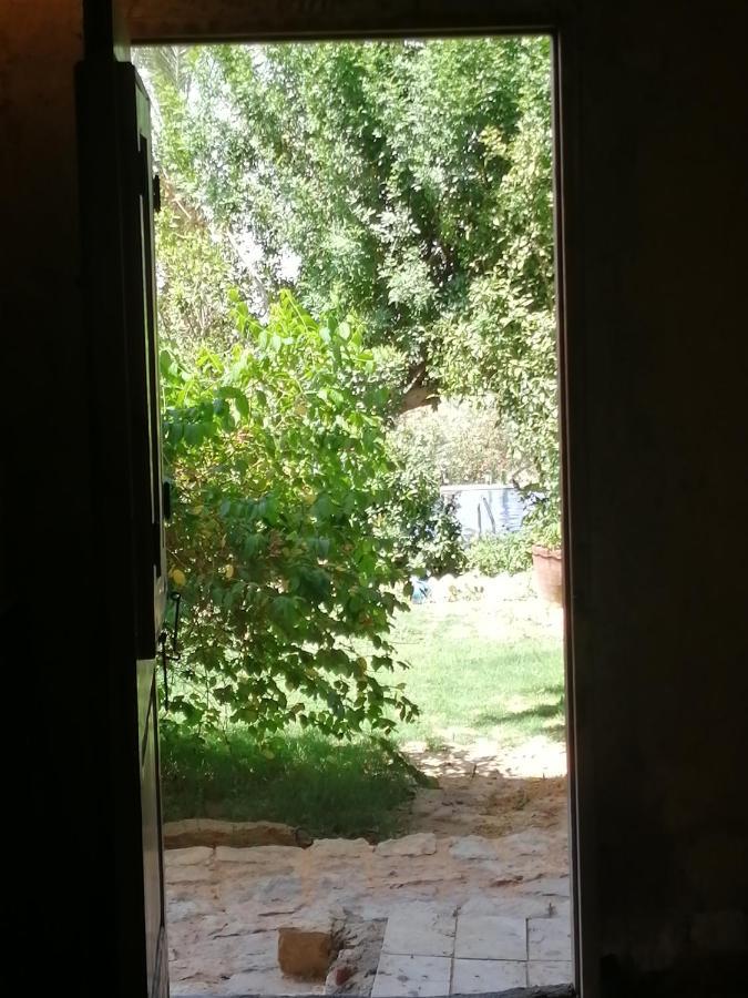 Studio In Byoum By Qaroun Lake In Fayoum Qaryat at Ta'mir as Siyahiyah Kültér fotó